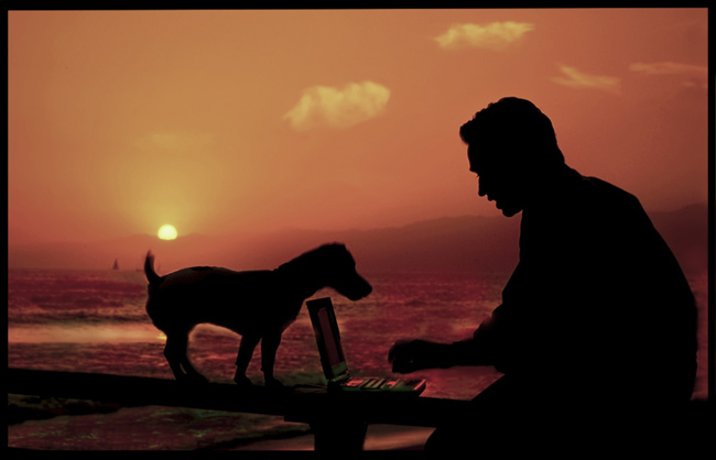 laptop,dog,-ocean