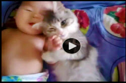 Video | Baby And Cat In Snuggling Nirvana