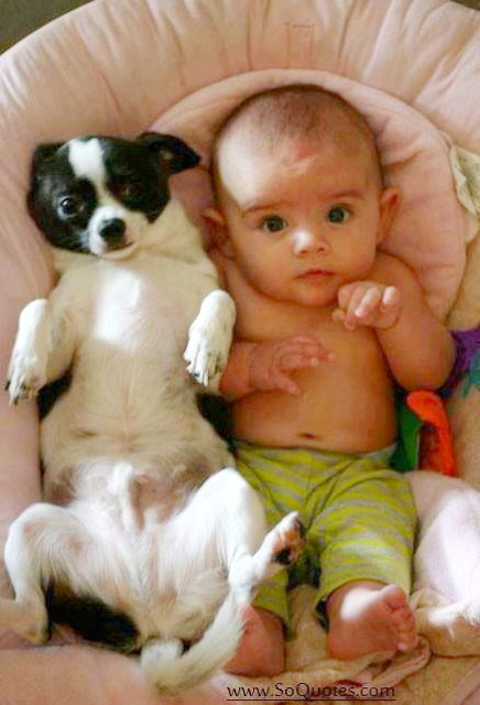 Photography of babies thriving and having fun with their pets - 4