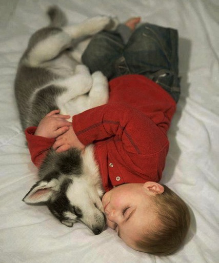 Photography of babies thriving and having fun with their pets - 6