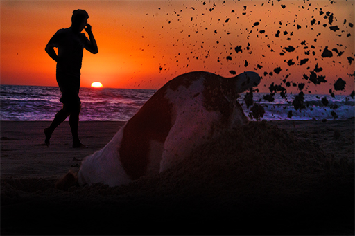 Venice-sunset beach-nunzi digging-runner-silhouette spirits
