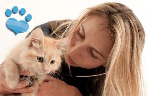 Dr.-Annie---exam-cat_MG_8363.jpg
