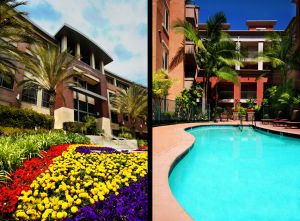 c82-Double-San-Diego-company-building-exterior---front,-flowers---MDR-apartment-complex---pool.jpg