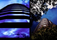 Double---Burbank-windows-looking-up-close---tower-w-trees