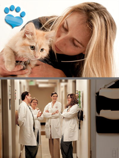 Dr-Annie_MG_0925-USC-hospital-hallway_MG_2678-composite