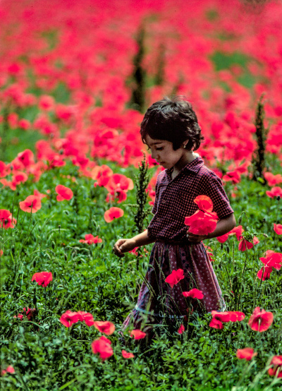 Italian-girl-poppies-2