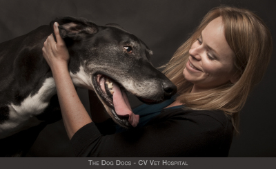 Dog-Docs-1