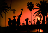 Bashketball-Venice-silhouette-spirits-