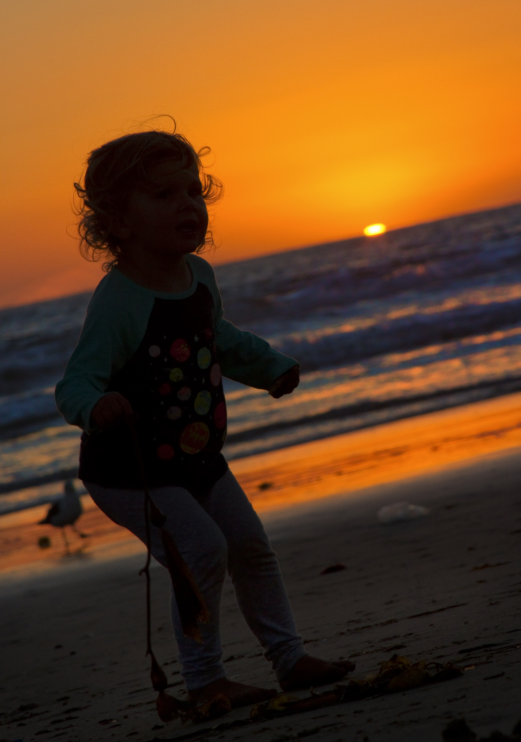 Venice---beach-sunset---child-curly-hair----_MG_2015