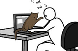 Humor---How-To-Pet-A-Kitty-by-Matthew-Inman