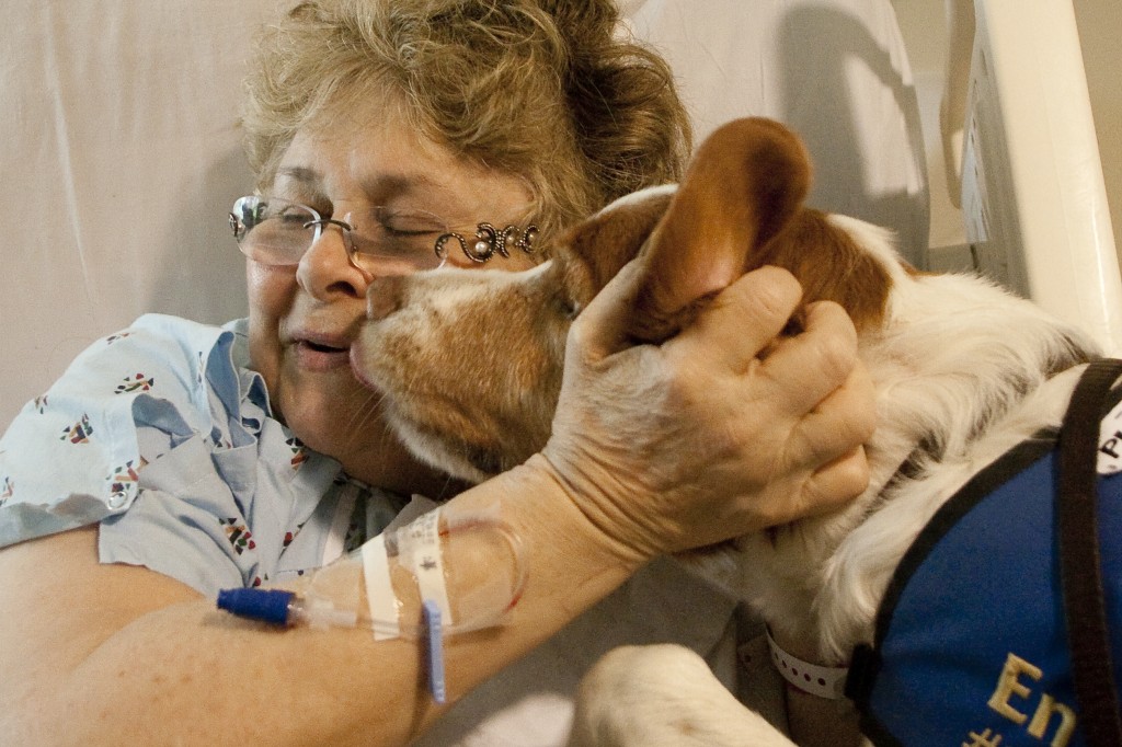 therapy dog with hospital patient