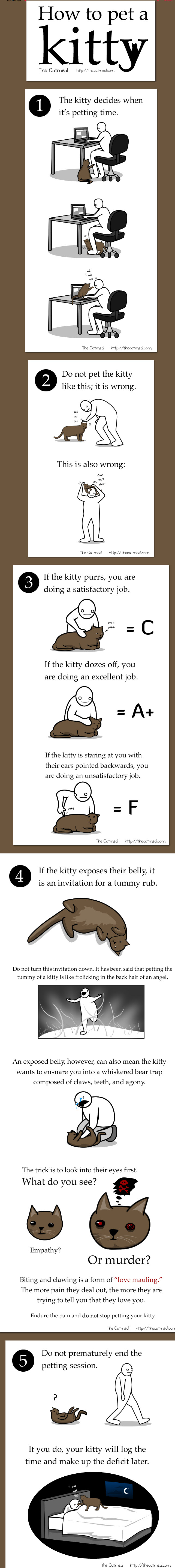 How to pet a kitty by Matthew Inman of the Oatmeal, funny cat comic