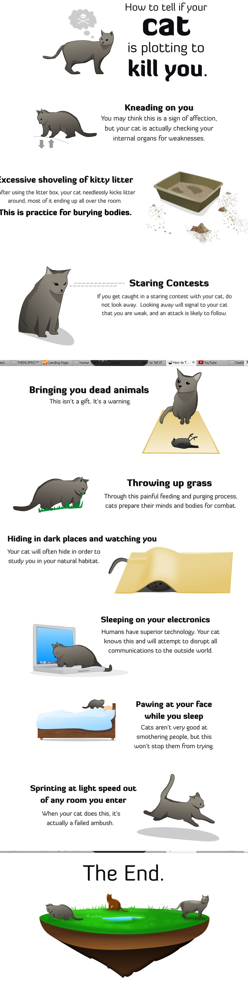 How to tell if your cat is plotting to kill you, comic