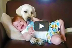 Video-of-babies-laughing-at-dogs,-funny-video
