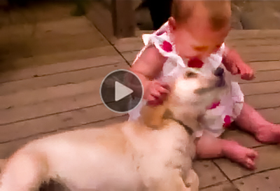 Very-cute-video-of-a-puppy-and-baby-hugging,-kissing-and-playing-with-each-other