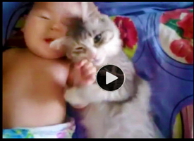 Cute-video-of-cat-and-baby-snuggling-together-in-bed