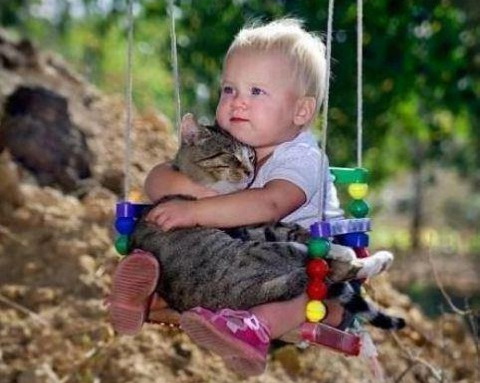 Photography of babies thriving and having fun with their pets - 3