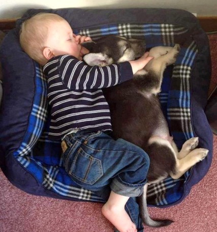 Photography of babies thriving and having fun with their pets - 7