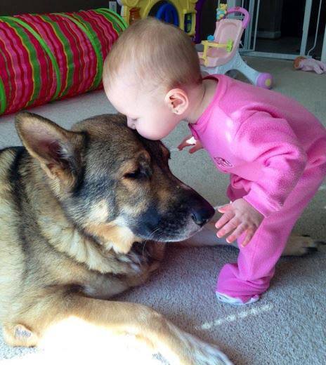 Photography of babies thriving and having fun with their pets - 8