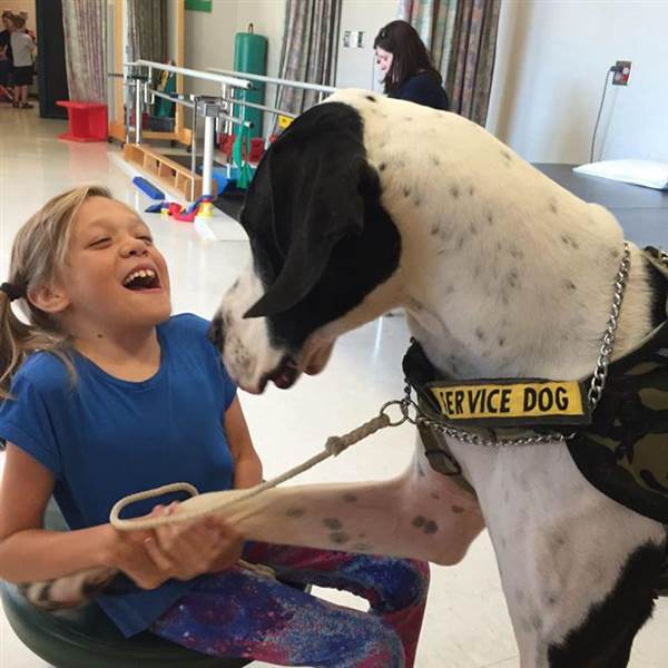 Child-Bella-and-great-dane-service-dog-George-helping-her-walk-without-crutches