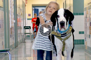 child-Bella-and-great-dane-service-dog-George-helping-her-walk-without-crutches-T