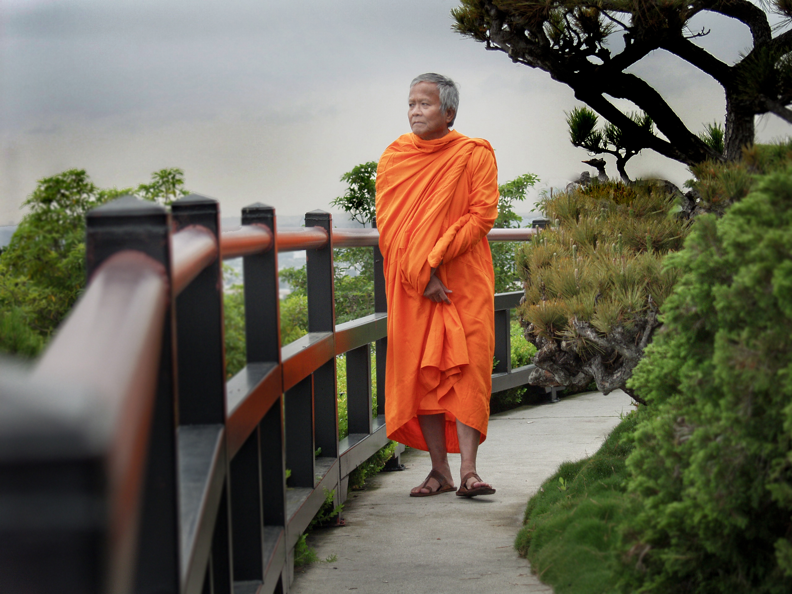 monk walking down path