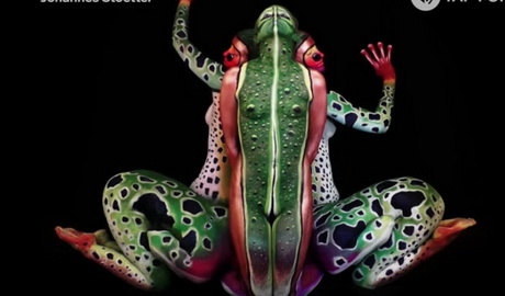 Body paint artist Johannes Stoetter makes stunning frog animal creations from human beings