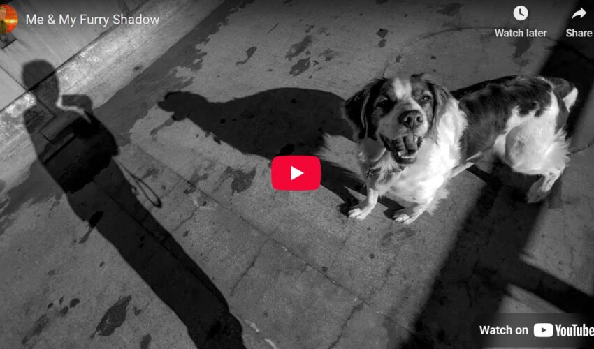 Nutty Nunzi Tall Tail Tales - Me & My Furry Shadow video