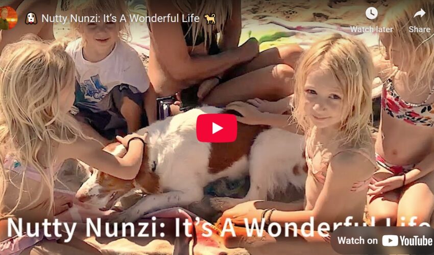 Nutty Nunzi Tall Tail Tales - Wonderful Life video