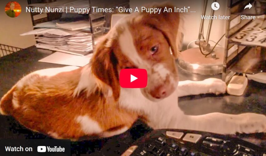 Nutty Nunzi Tall Tail Tales - Give Puppy An Inch - video