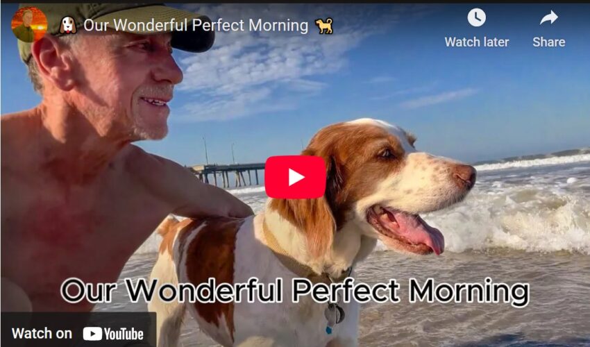 Nutty Nunzi Tall Tail Tales - Wonderful Perfect Morning - video