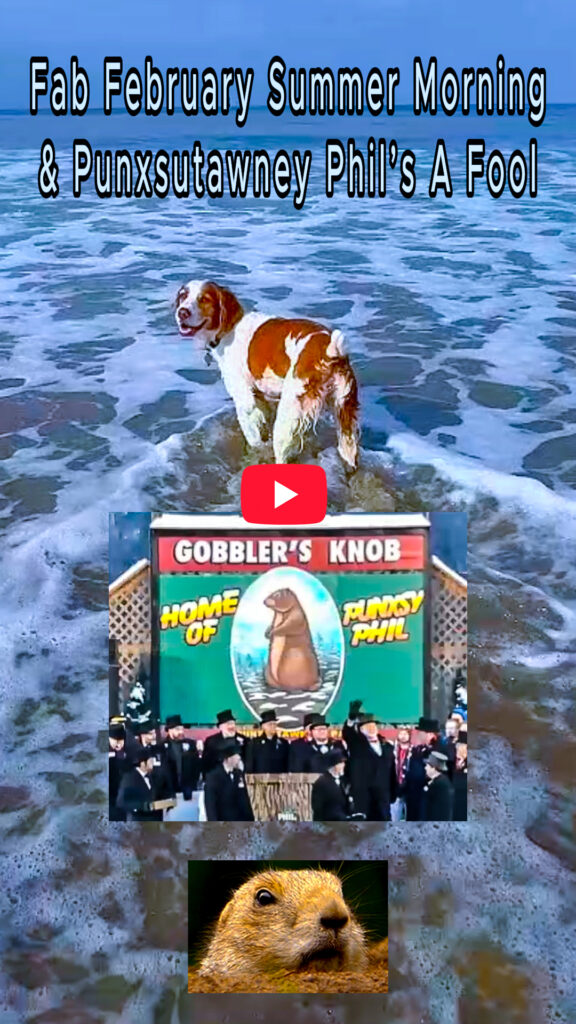 Los Angeles Corporate Event Videographer – Professional Business & Private Celebrations Video Production